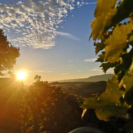 Villa Peiserhof Ferien.Wein.Gut Suedsteiermark Wies Exterior foto